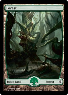 (image for) Forest (247) - Full Art